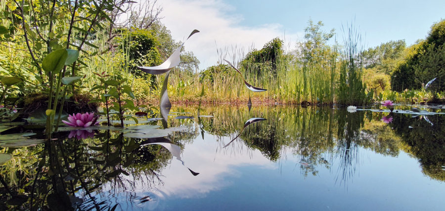 This image has an empty alt attribute; its file name is rectoJARDINCORDESLONG-900x427.jpg